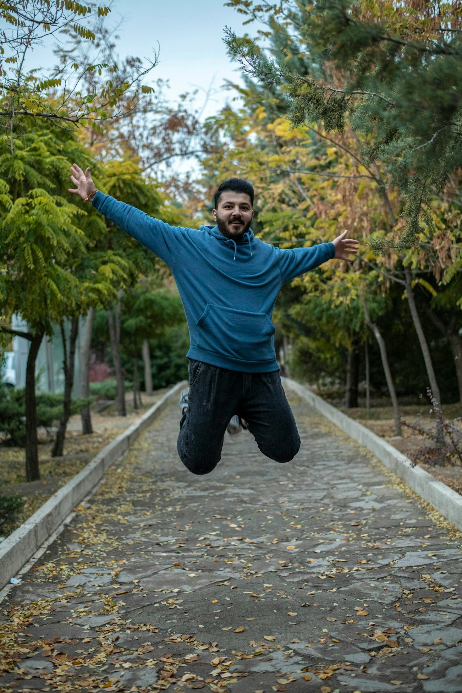 Cultivating Curiosity: A New Approach to Intelligence